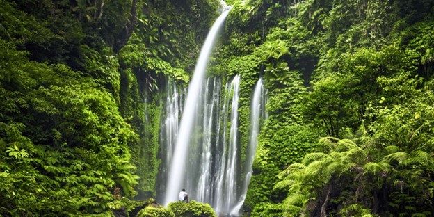 Gambar 1